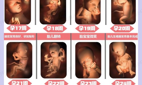 乙肝患者可以吃茄子吗-宋子文的简介专区_人体结构几何体速写专区_熏洗 价格网